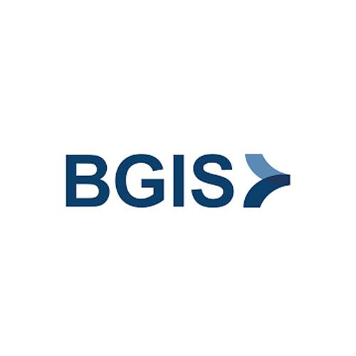 bgis